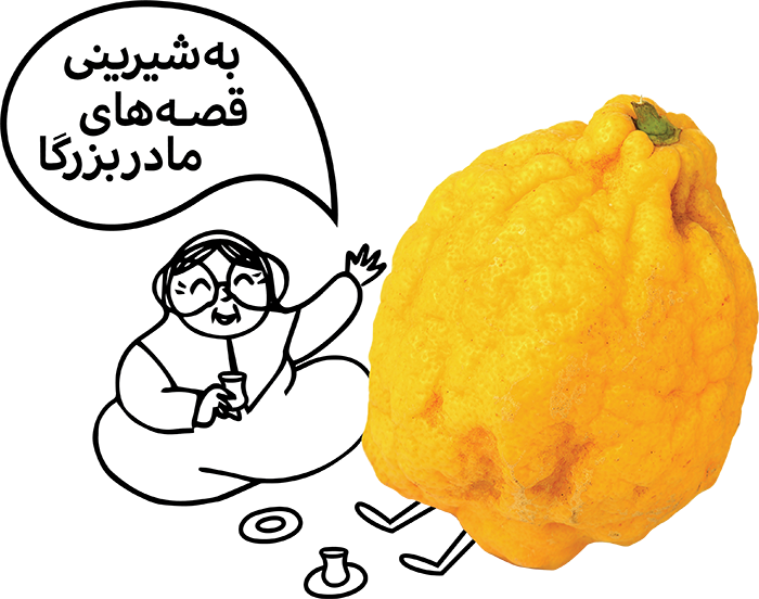 الأهداف والاستراتيجيات